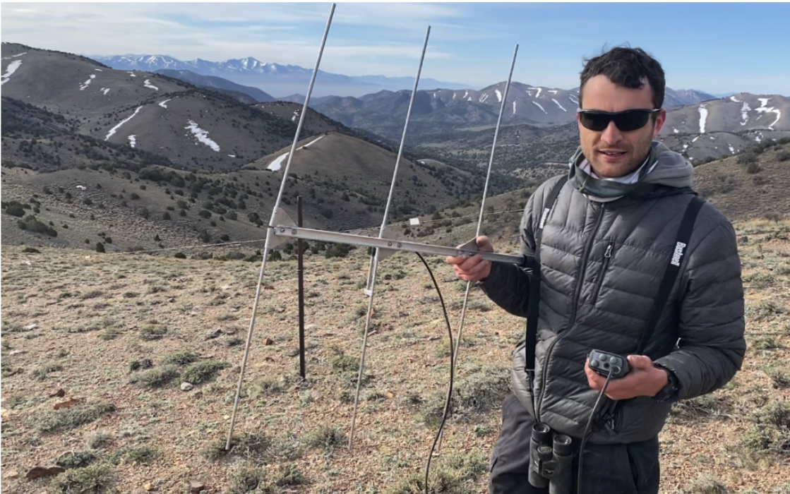 Tracking Greater Sage Grouse